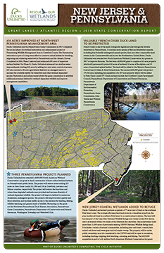 New Jersey & Pennsylvania 2018 Conservation Report